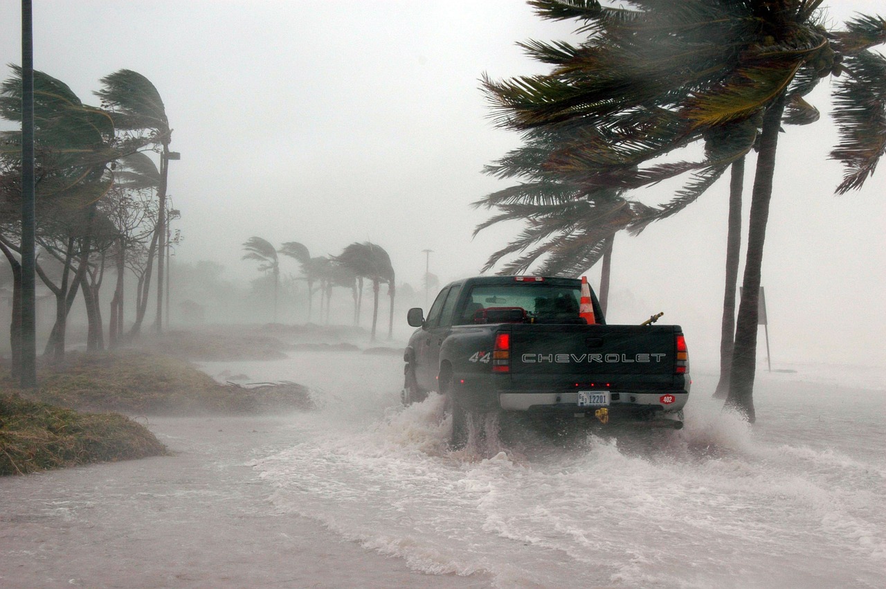 Se eleva alerta en Sonora por Huracán "Nora”. Imagen de David Mark en Pixabay