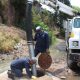 dependencias del área operativa del Gobierno de la Ciudad llevan a cabo trabajos de limpieza y desazolve