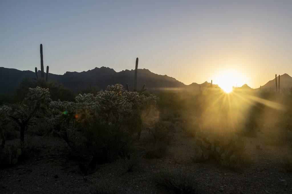 Salvan C5i Sonora y Border Patrol a niño de morir en el desierto. Imagen de Peter Perhac en Pixabay