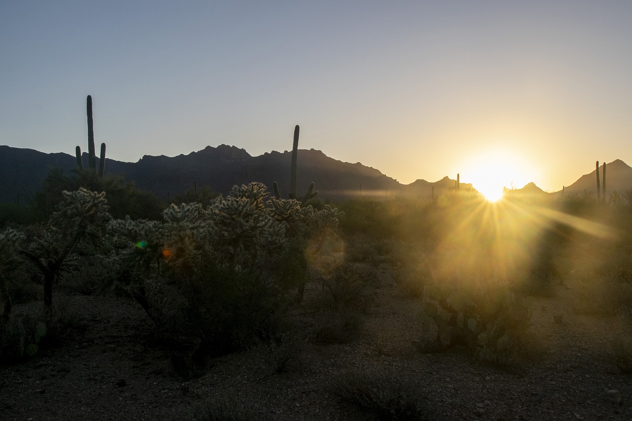 Salvan C5i Sonora y Border Patrol a niño de morir en el desierto. Imagen de Peter Perhac en Pixabay