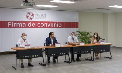 Capacitarán a futuros docentes en Sonora sobre donación de órganos y trasplantes