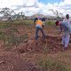 Inicia reforestación en cumplimento de la ley del árbol
