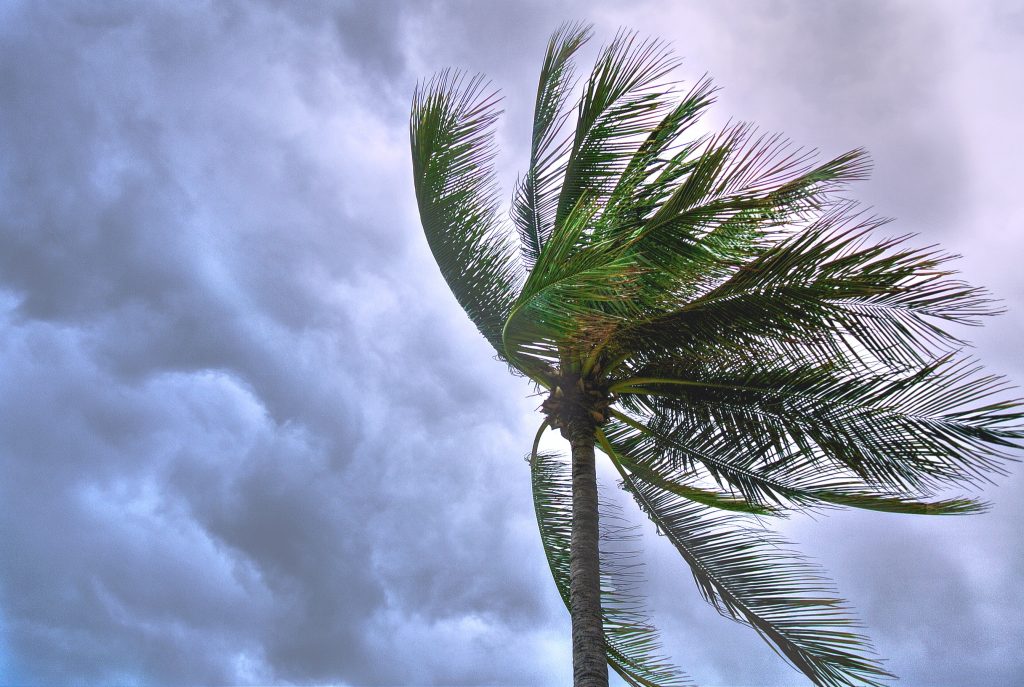Sonora emiten alerta azul huracán "Olaf". Foto de Suparerg Suksai en Pexels