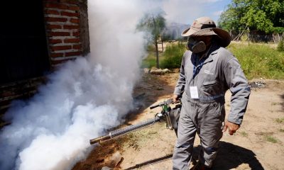 A la fecha no se han registrado defunciones por dengue en Sonora: Secretaría de Salud