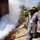 A la fecha no se han registrado defunciones por dengue en Sonora: Secretaría de Salud