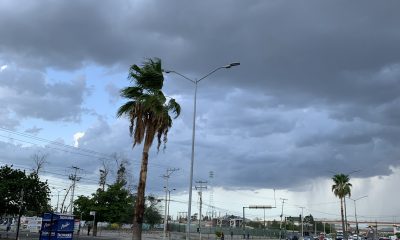 Mantendrá Protección Civil Sonora monitoreo de tormenta tropical “Orlene”. Imagen El Observador México