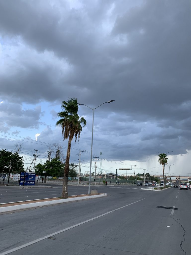 Mantendrá Protección Civil Sonora monitoreo de tormenta tropical “Orlene”. Imagen El Observador México