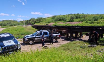 Asegura Policía Estatal cinco paquetes de narcótico debajo de las vías del tren en Nogales