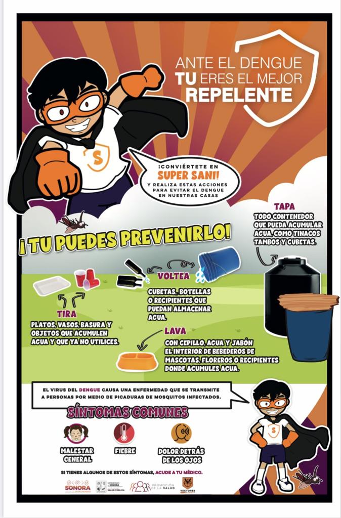 El dengue se puede prevenir con acciones de limpieza: Salud Sonora