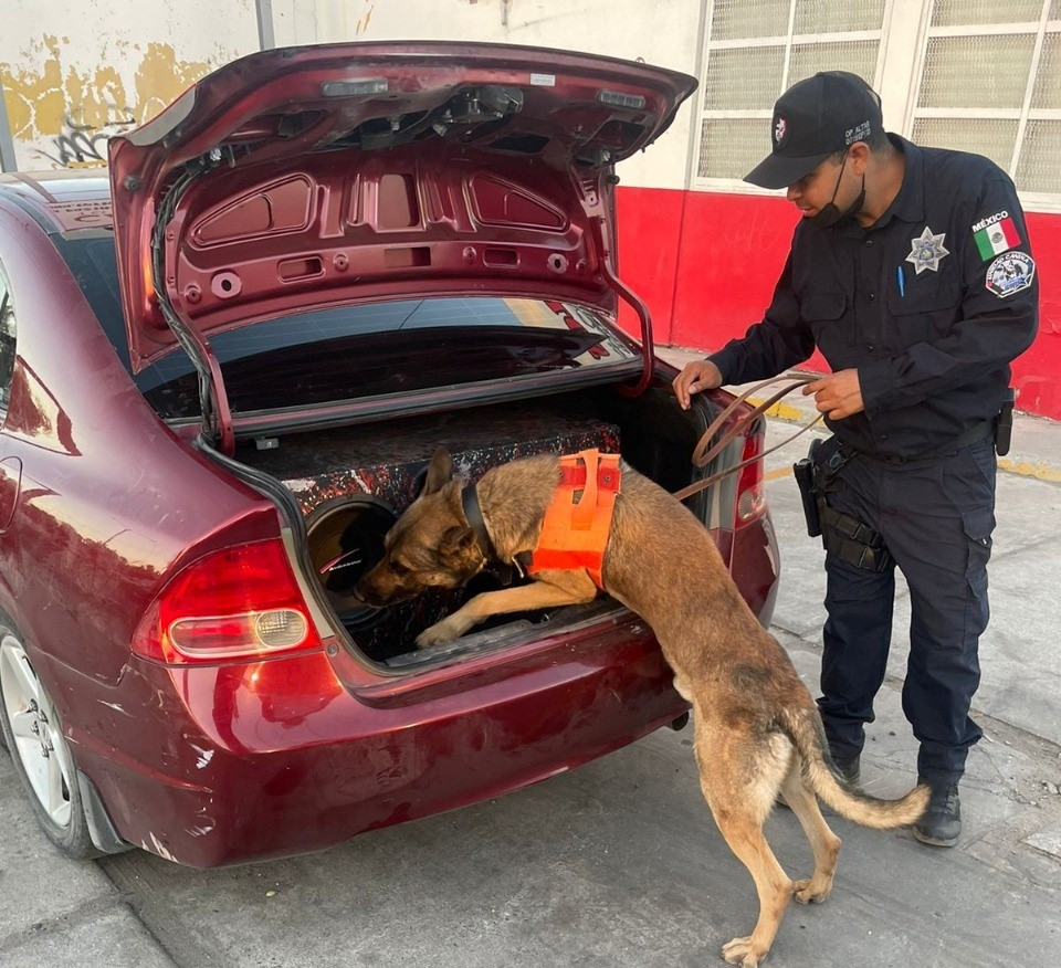 Recuperan tres vehículos robados en Hermosillo