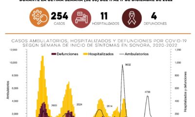Confirma Secretaría de Salud 254 casos por Covid-19