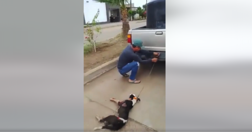 Indignaacion en Sonora: Hombre arrastra a un perrito amarrado a su camioneta