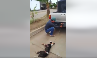Indignaacion en Sonora: Hombre arrastra a un perrito amarrado a su camioneta