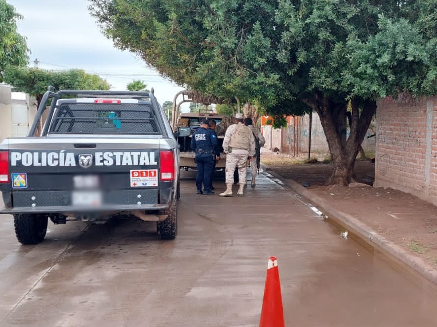 Aseguran Sedena y Policía Estatal 100 envoltorios de narcótico en Cajeme