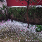 Con lluvias y bajas temperaturas, Frente Frío Número 24 azotará el noroeste de México. Foto: Twitter / @EunyFlowers90