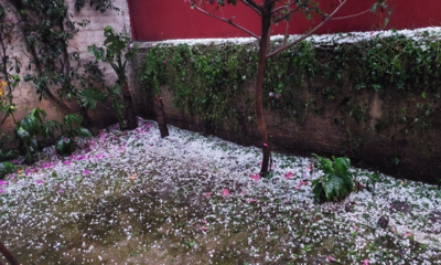Con lluvias y bajas temperaturas, Frente Frío Número 24 azotará el noroeste de México. Foto: Twitter / @EunyFlowers90
