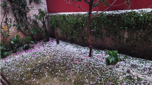 Con lluvias y bajas temperaturas, Frente Frío Número 24 azotará el noroeste de México. Foto: Twitter / @EunyFlowers90