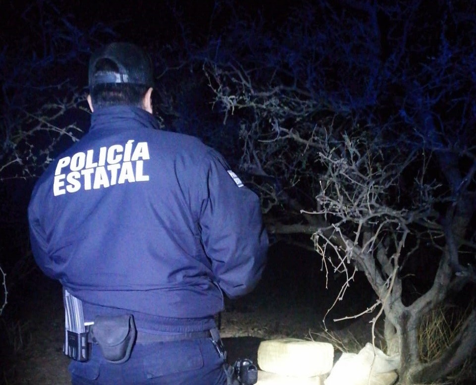 Localiza la PESP alrededor de 30 kilogramos de hierba verde en Nogales