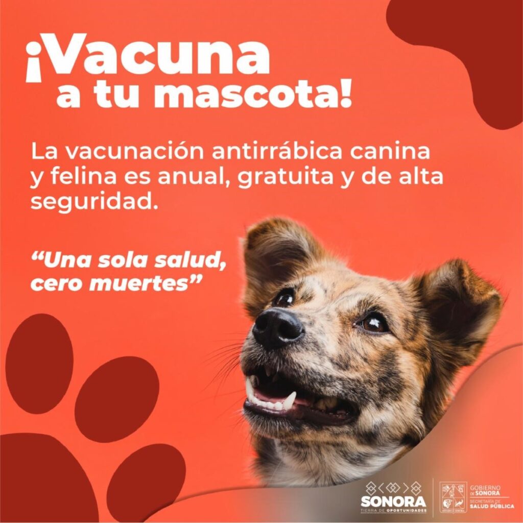 Salud Canina y Felina