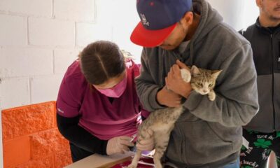 Salud Canina y Felina