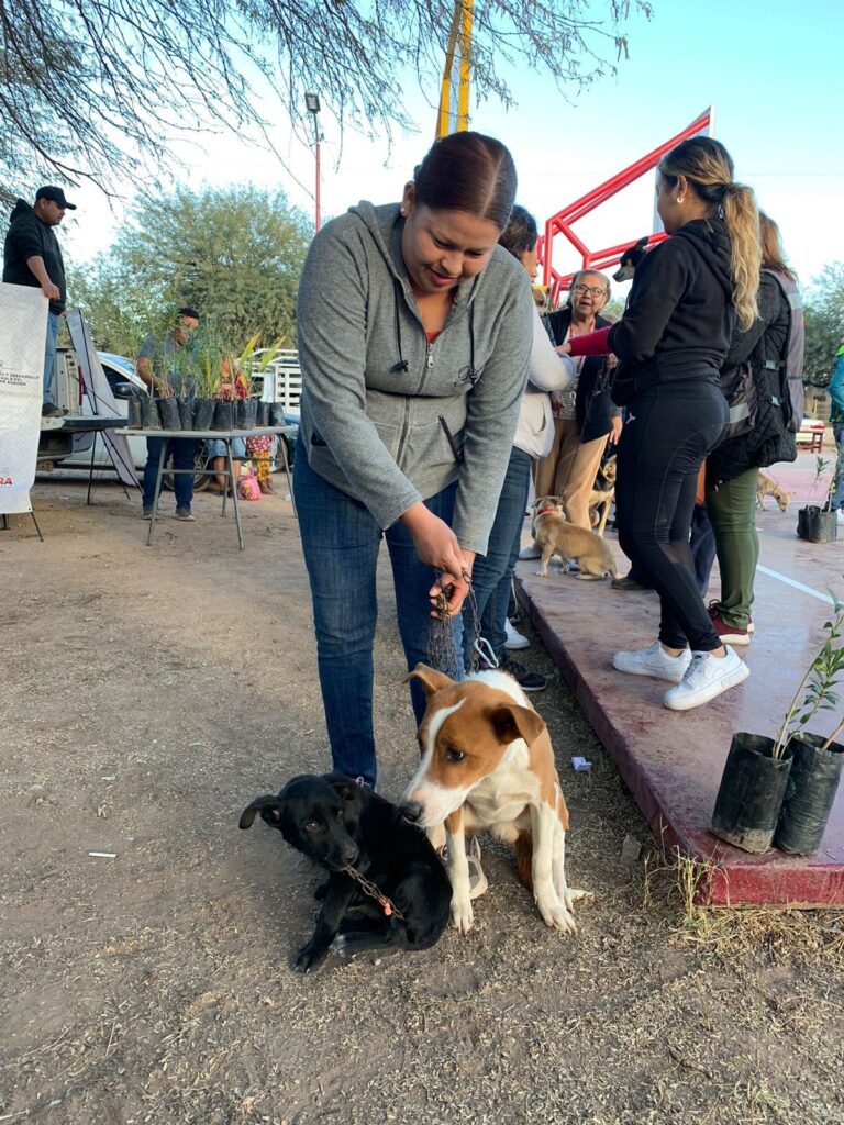 Lleva Cedes jornada de esterilización y salud animal a Zamora