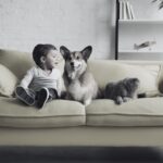 Asocian las mascotas en casa con menos alergias alimentarias en niños