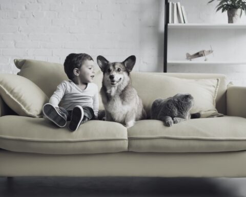 Asocian las mascotas en casa con menos alergias alimentarias en niños