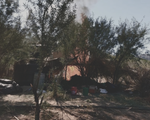 Destruyen plantío y campamento improvisado para secar marihuana en Pitiquito, Sonora