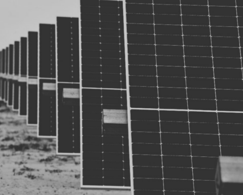 Empezará el primer bimestre de 2024 la segunda etapa de la planta fotovoltaica en Sonora