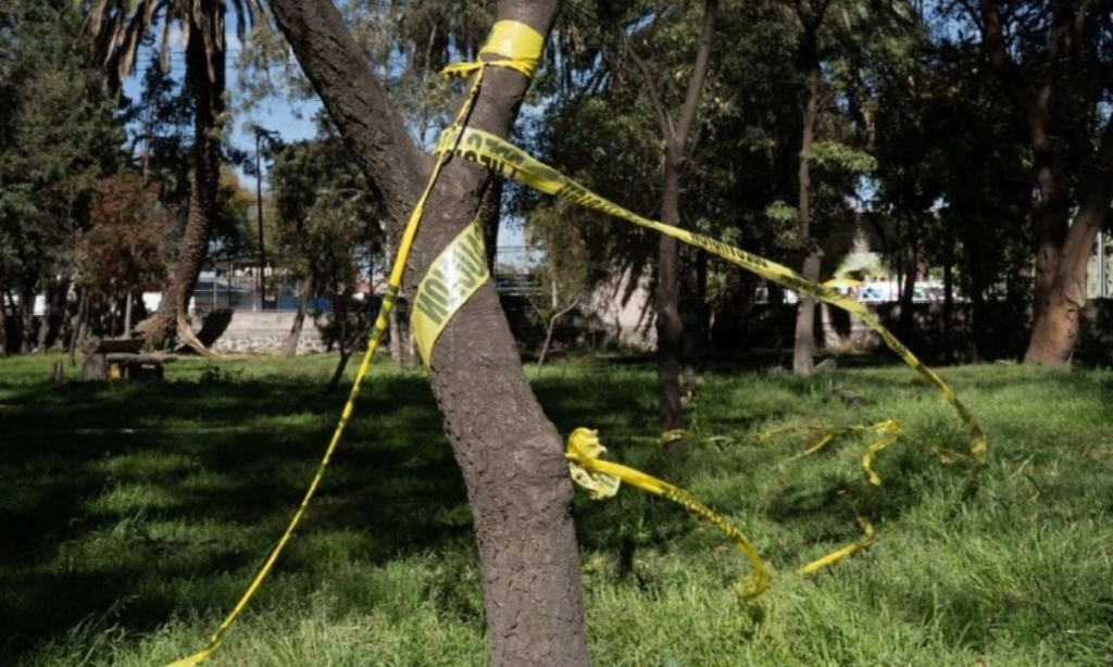 Hallan a otro perro descuartizado en el Bosque de Nativitas; van 22 en seis meses