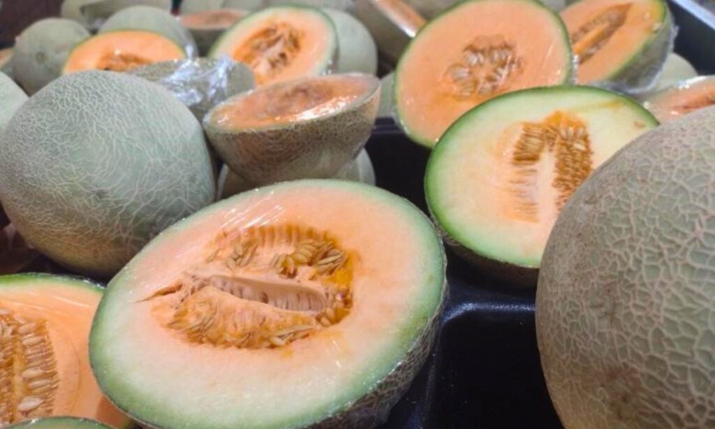 Descartado que el melón sonorense causara brote de salmonella en Estados Unidos y Canadá