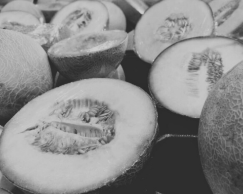 Descartado que el melón sonorense causara brote de salmonella en Estados Unidos y Canadá