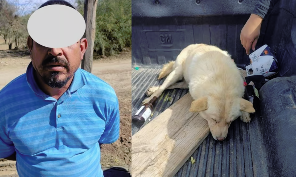 Detienen a sujeto por dispararle a un perro, ya lo llevaba al basurero