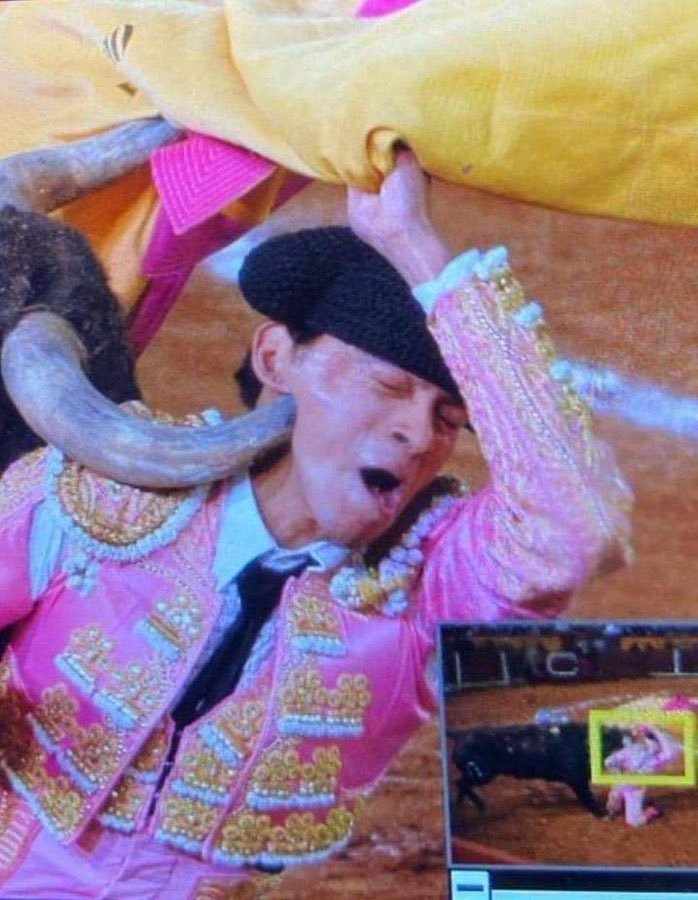 Torero sufre brutal cornada en la cara; lo reportan grave. Foto X @Neutralious