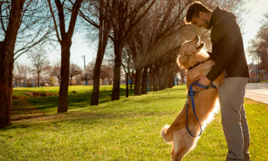 Interacción con perros impacta zona cerebral e induce respuestas emocionales positivas