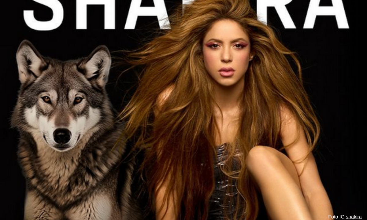 Precios para ver a Shakira van desde los 500 dólares hasta los 2 mil