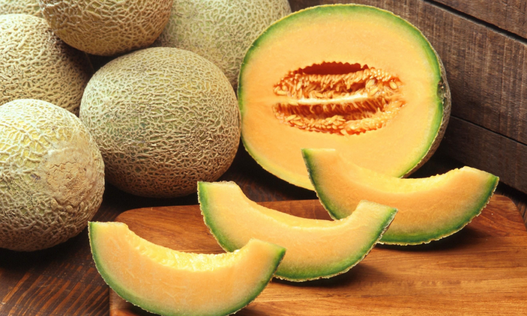 Reduce 90% la producción de melón cantaloupe en Sonora tras problema de salmonelosis
