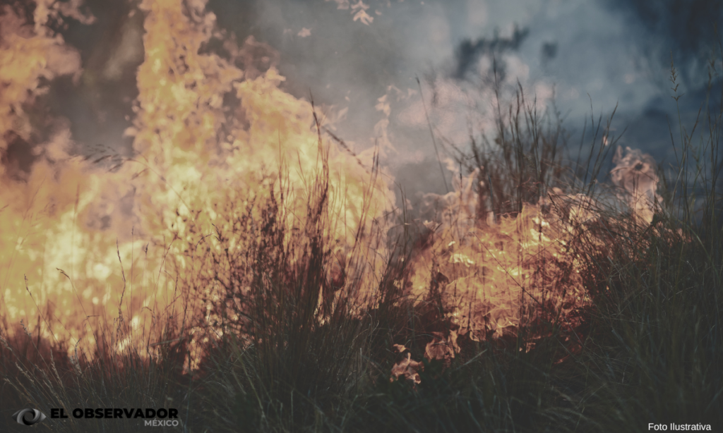 Incendios preocupan a pobladores y turistas de Valle de Bravo