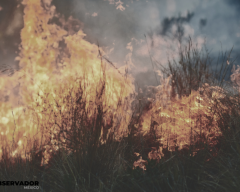 Incendios preocupan a pobladores y turistas de Valle de Bravo