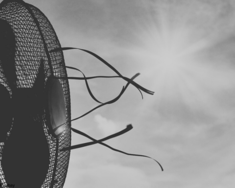 Anuncia Astiazarán medidas de prevención ante altas temperaturas