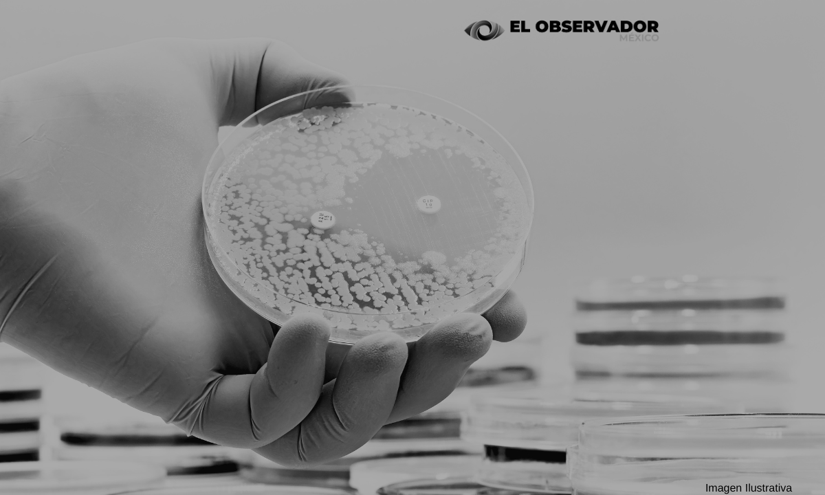Identifican con la ayuda de la IA, casi un millón de posibles antibióticos naturales