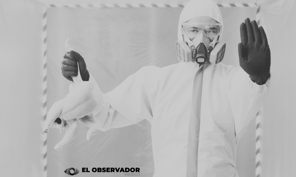 La OMS confirma la primera muerte humana por gripe aviar en México