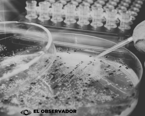 Infección bacteriana potencialmente mortal, alcanza niveles récord en Japón