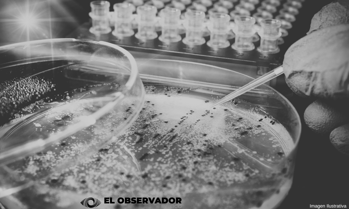 Infección bacteriana potencialmente mortal, alcanza niveles récord en Japón