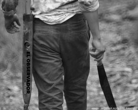 Hombre mata a machetazos a la novia de su amigo y a su hermana de 9 años, le habrían dado alojamiento