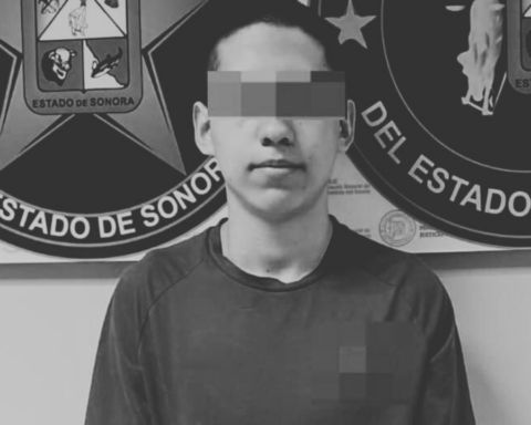 Nogales: Vinculan a Proceso a Joven por Brutal Crueldad Animal: Ahorcó a Dos Perros