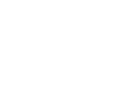 Virus Chandipura
