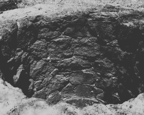 Nogales: Localizan crematorio clandestino en La Comaya
