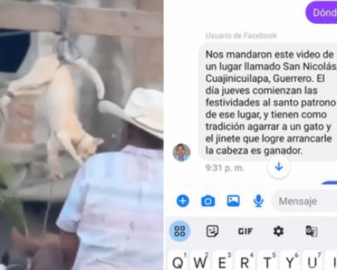 Jinetes torturan y le arrancan la cabeza a un gatito; por tradición