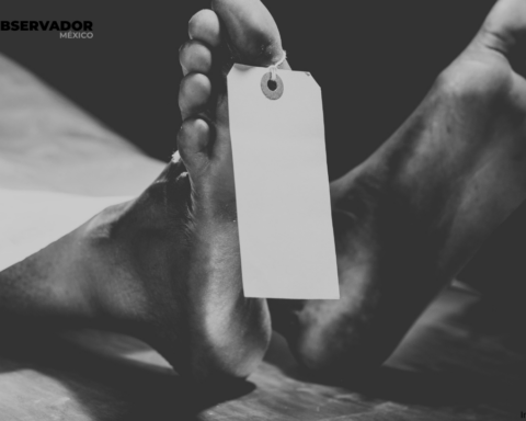 Nogales: Hallan de cuerpo sin vida en la colonia CTS Croc